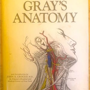 Gray’s Anatomy Collector’s Edition